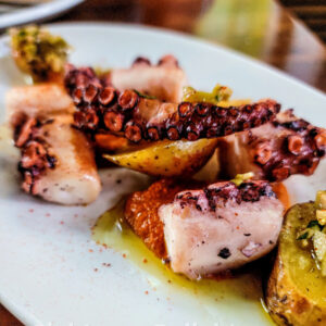 Photo of The Iberian Pig Photo of The Iberian Pig