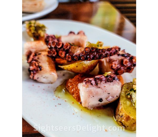 Photo of The Iberian Pig Photo of The Iberian Pig