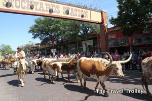 Fort Worth Stockyards (Photo by Todd DeFeo)