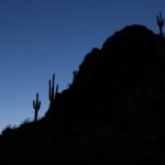 Phoenix, Arizona