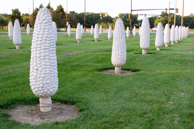 Field of Corn (with Osage Orange Trees)