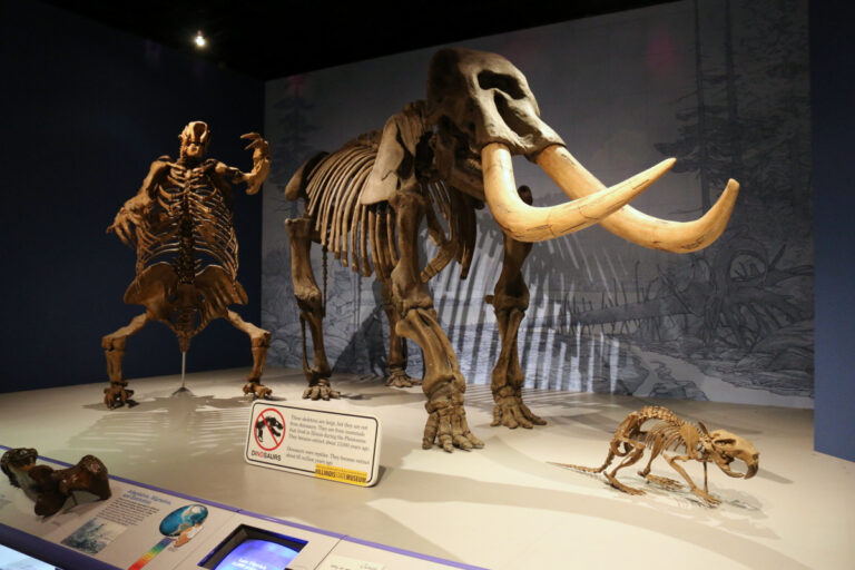 Illinois State Museum