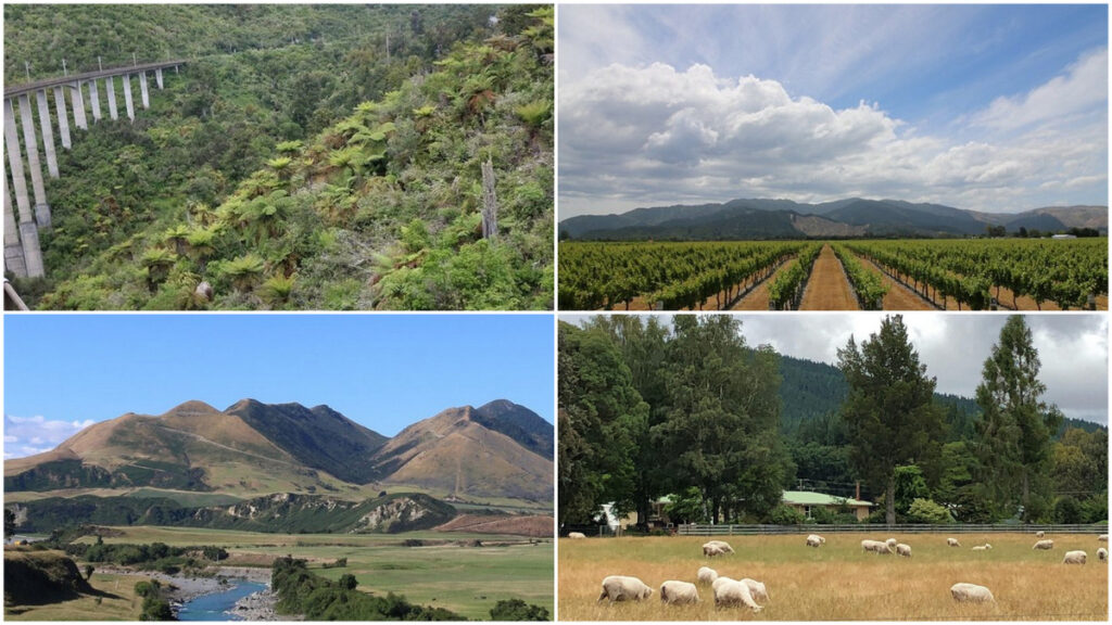 An Instagram Tour of New Zealand