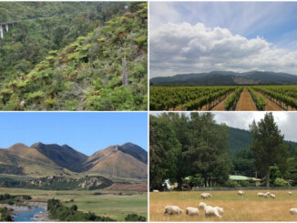 An Instagram Tour of New Zealand