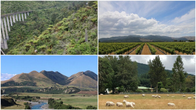 An Instagram Tour of New Zealand