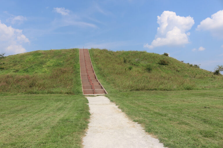 Cahokia Mounds State Historic Site