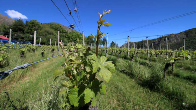 Gibbston Valley Winery and Restaurant