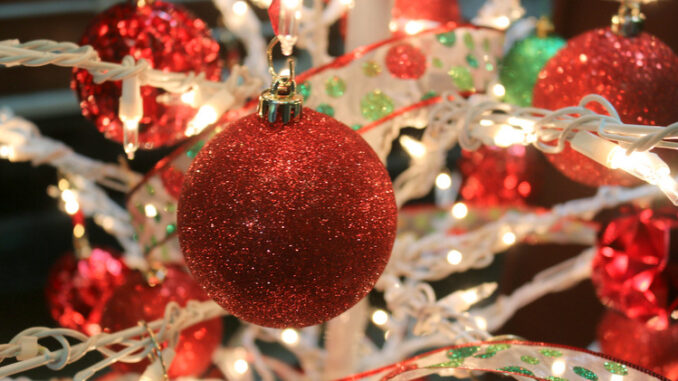 Southeastern Railway Museum goes festive with ‘Festival of Trees ...