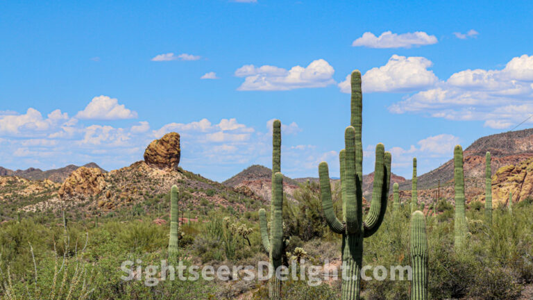 Why you should consider a trip to Phoenix, Arizona