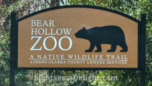 Bear Hollow Zoo