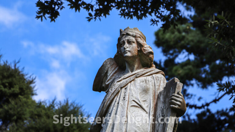 Wellington’s historic Bolton Street Cemetery is a hidden gem of the city