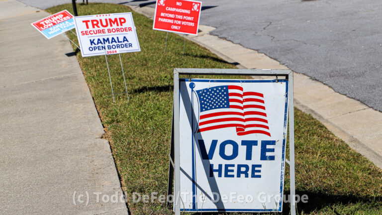 Nov. 18 special election set vacant Georgia Senate District 35 seat