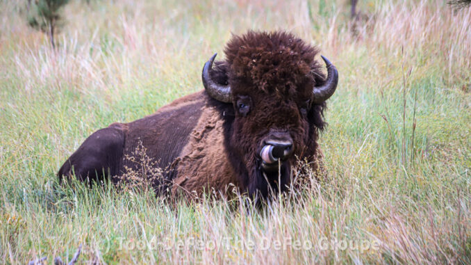 SouthDakota_2380