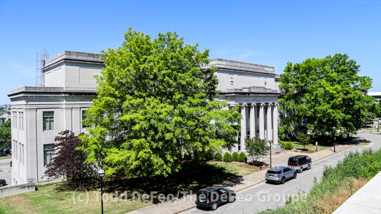 Analysis: Nashville, Tennessee, is the best city in the nation for tree lovers