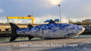 The Big Fish The Big Fish