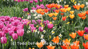 Franklin Park Conservatory and Botanical Gardens